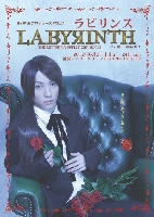 LABYRINTH ⭐︎blood cross version⭐︎ DVD