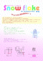 Snow flake flier ura600.jpg