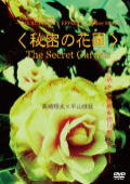 secret_dvd11.jpg